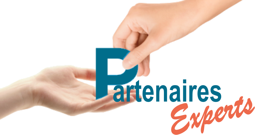 Partenaire-Expert logo